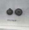 Click for 1 image(s) for this accession. FRUIT